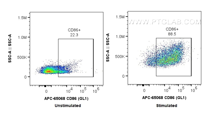 Flow cytometry (FC) experiment of mouse splenocytes using APC Anti-Mouse CD86 (GL1) (APC-65068)