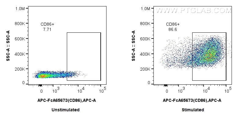 Flow cytometry (FC) experiment of mouse splenocytes using FcZero-rAb® APC Anti-Mouse CD86 (GL1) Rabbit Recom (APC-FcA65673)