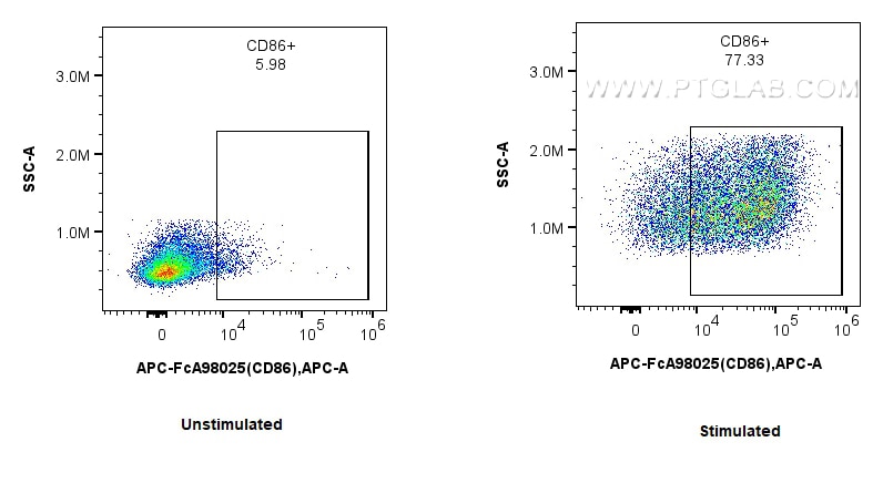 Flow cytometry (FC) experiment of mouse splenocytes using FcZero-rAb™ APC Anti-Mouse CD86 Rabbit Recombinant (APC-FcA98025)