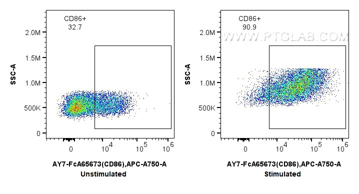 Flow cytometry (FC) experiment of mouse splenocytes using FcZero-rAb® APC-Cyanine7 Anti-Mouse CD86 (GL1) Rab (AY7-FcA65673)