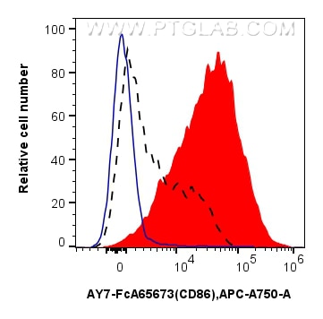 Flow cytometry (FC) experiment of mouse splenocytes using FcZero-rAb® APC-Cyanine7 Anti-Mouse CD86 (GL1) Rab (AY7-FcA65673)