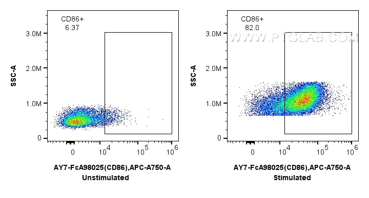 Flow cytometry (FC) experiment of mouse splenocytes using FcZero-rAb™ APC-Cyanine7 Anti-Mouse CD86 Rabbit Re (AY7-FcA98025)