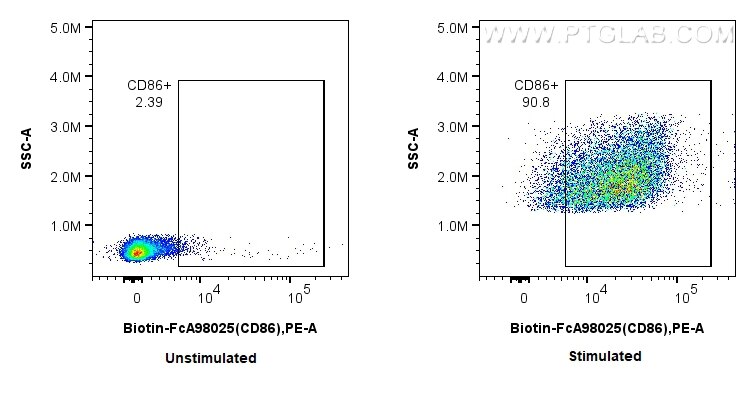Flow cytometry (FC) experiment of mouse splenocytes using FcZero-rAb® Biotin Anti-Mouse CD86 Rabbit Recombin (Biotin-FcA98025)