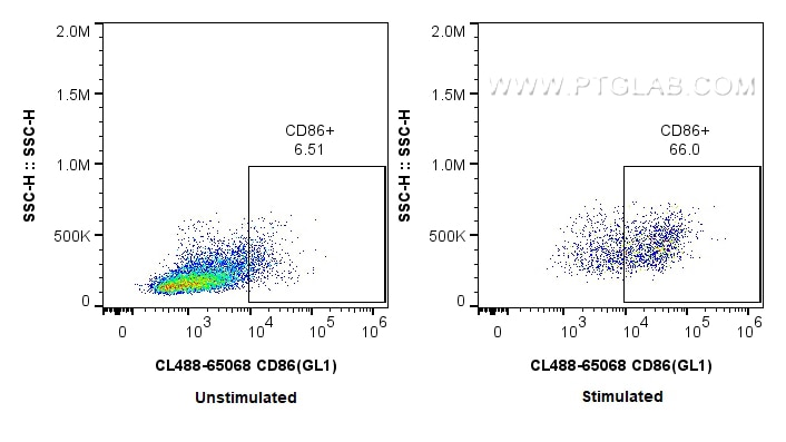 Flow cytometry (FC) experiment of C57BL/6 mouse splenocytes using CoraLite® Plus 488 Anti-Mouse CD86 (GL1) (CL488-65068)