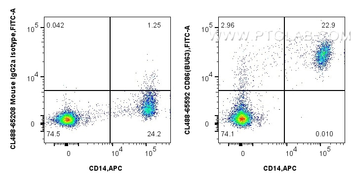 FC experiment of human PBMCs using CL488-65592 Flow cytometry (FC) experiment of human PBMCs using CoraLite® Plus 488 Anti-Human CD86 (BU63) Mouse Ig (CL488-65592)