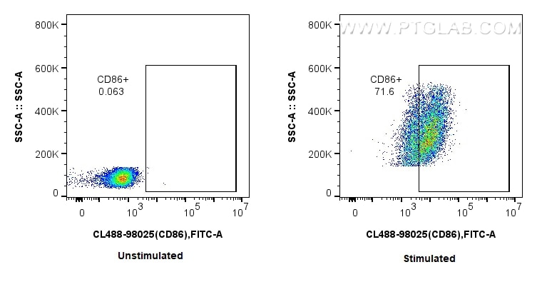 CD86