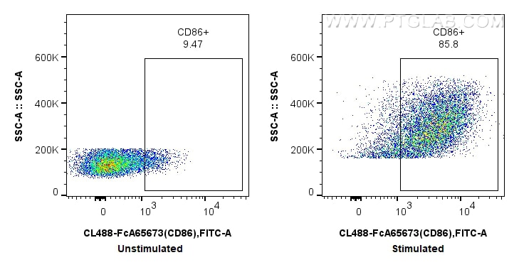 Flow cytometry (FC) experiment of mouse splenocytes using FcZero-rAb® CoraLite® Plus 488 Anti-Mouse CD86 (GL (CL488-FcA65673)