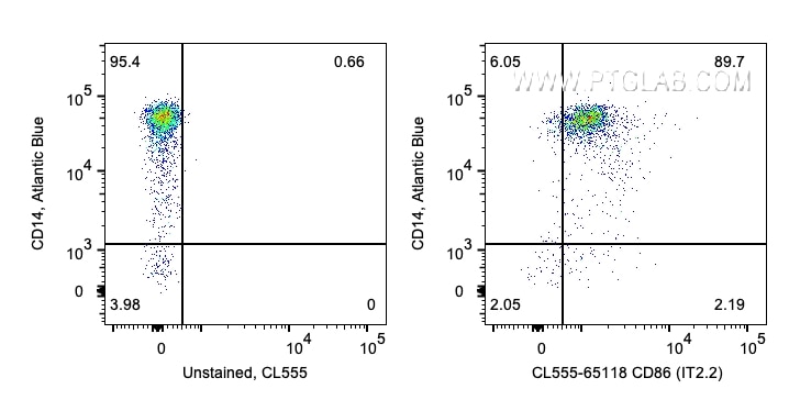 Flow cytometry (FC) experiment of human PBMCs using CoraLite® Plus 555 Anti-Human CD86 (IT2.2) (CL555-65118)