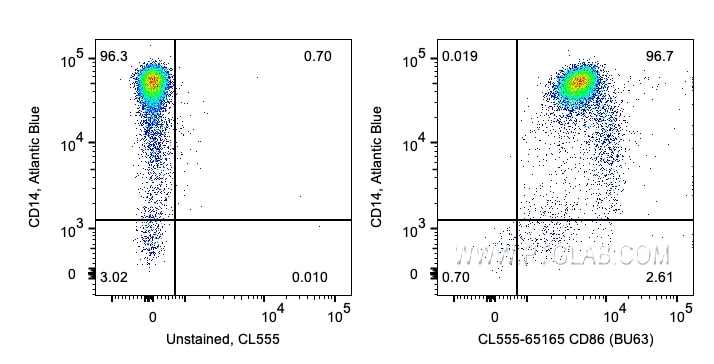 Flow cytometry (FC) experiment of human PBMCs using CoraLite® Plus 555 Anti-Human CD86 (BU63) (CL555-65165)