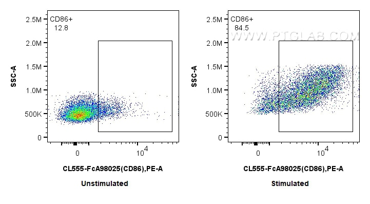 FC experiment of mouse splenocytes using CL555-FcA98025 Flow cytometry (FC) experiment of mouse splenocytes using FcZero-rAb® CoraLite® Plus 555 Anti-Mouse CD86 Rab (CL555-FcA98025)