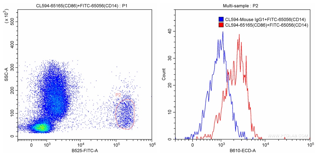 Flow cytometry (FC) experiment of human peripheral blood monocytes using CoraLite®594 Anti-Human CD86 (BU63) (CL594-65165)