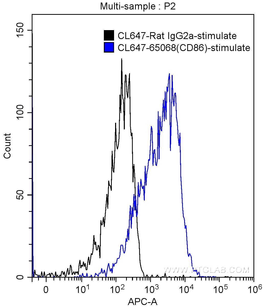 CD86