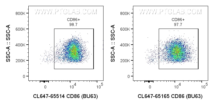 CD86 