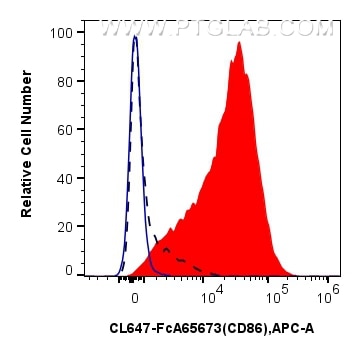 1x10^6 LPS treated mouse splenocytes were surface stained with 0.25 ug CoraLite® Plus 647 Anti-Mouse CD86 (GL1) Rabbit IgG RecAb (CL647-FcA65673, Clone: GL1) (red) or FcZero-rAb™ CoraLite® Plus 647 Rabbit IgG Isotype Control Recombinant Antibody (CL647-FcA98136, Clone: 240953C9) (blue). 1x10^6 untreated mouse splenocytes were surface stained with 0.25 ug CoraLite® Plus 647 Anti-Mouse CD86 (GL1) Rabbit IgG RecAb (CL647-FcA65673, Clone: GL1)(black, dashed). Cells were not fixed. Flow cytometry (FC) experiment of mouse splenocytes using FcZero-rAb™ CoraLite® Plus 647 Anti-Mouse CD86 (GL (CL647-FcA65673)