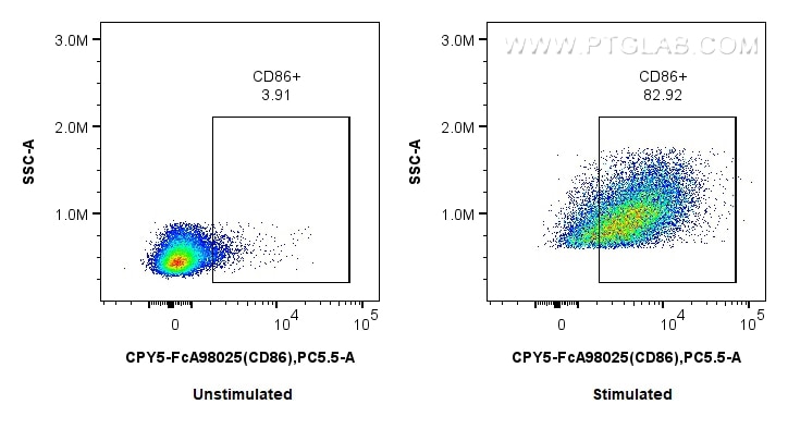 Flow cytometry (FC) experiment of mouse splenocytes using FcZero-rAb® PerCP-Cyanine5.5 Anti-Mouse CD86 Rabbi (CPY5-FcA98025)