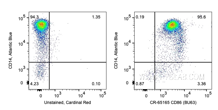 Flow cytometry (FC) experiment of human PBMCs using Cardinal Red™ Anti-Human CD86 (BU63) (CR-65165)