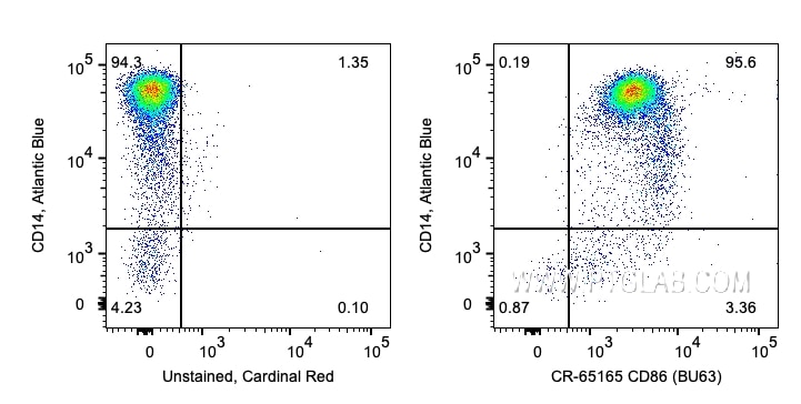 FC experiment of human PBMCs using CR-65165