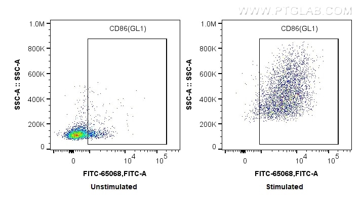 Flow cytometry (FC) experiment of mouse splenocytes using FITC Plus Anti-Mouse CD86 (GL1) (FITC-65068)