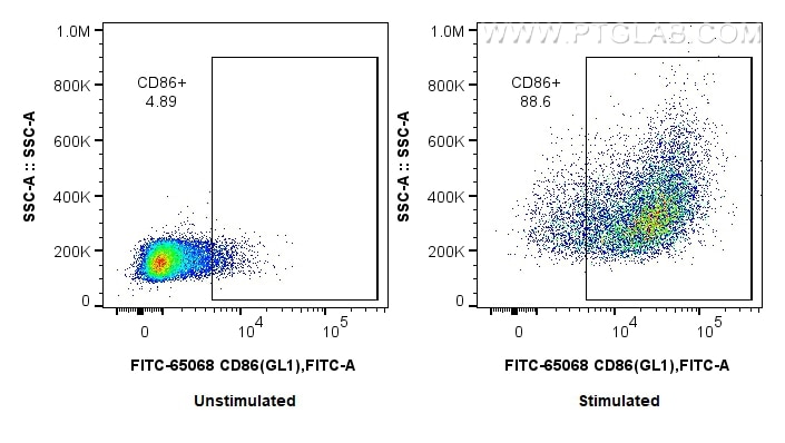 Flow cytometry (FC) experiment of mouse splenocytes using FITC Plus Anti-Mouse CD86 (GL1) (FITC-65068)
