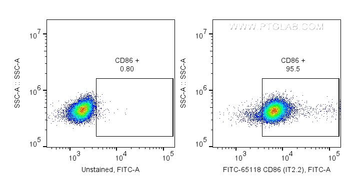 Flow cytometry (FC) experiment of human PBMCs using FITC Plus Anti-Human CD86 (IT2.2) (FITC-65118)