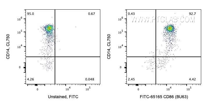Flow cytometry (FC) experiment of human PBMCs using FITC Plus Anti-Human CD86 (BU63) (FITC-65165)