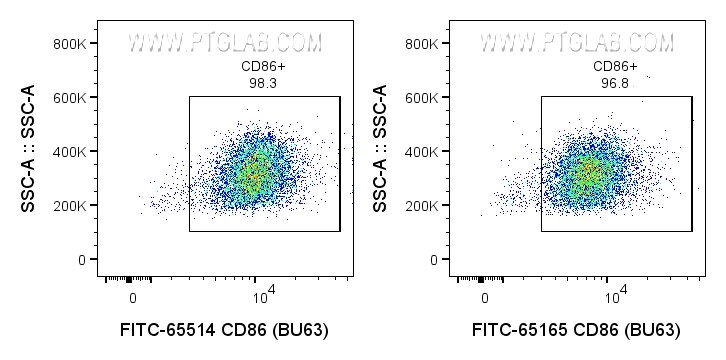 CD86 