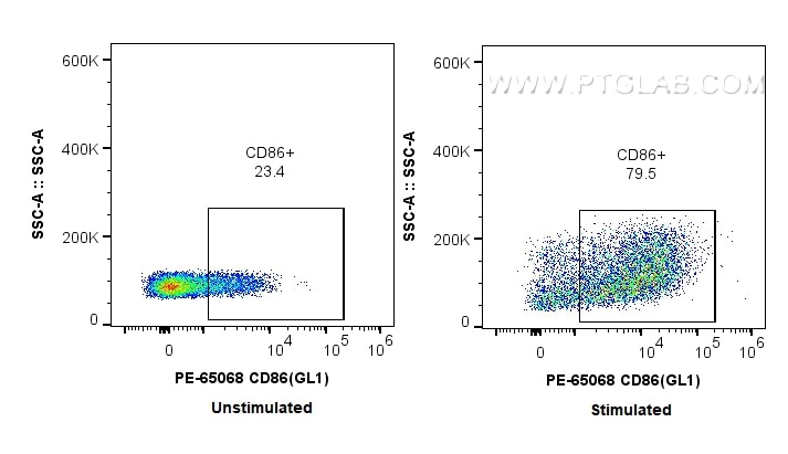 Flow cytometry (FC) experiment of mouse splenocytes using PE Anti-Mouse CD86 (GL1) (PE-65068)