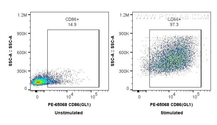Flow cytometry (FC) experiment of mouse splenocytes using PE Anti-Mouse CD86 (GL1) (PE-65068)