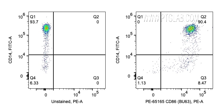 Flow cytometry (FC) experiment of human PBMCs using PE Anti-Human CD86 (BU63) (PE-65165)