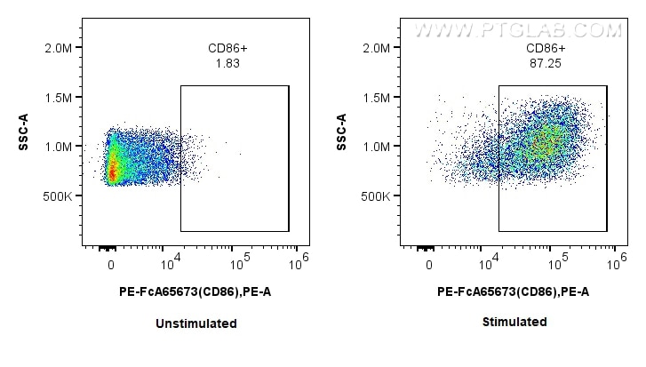 1x10^6 untreated or LPS treated mouse splenocytes were surface stained with 0.1 ug PE Anti-Mouse CD86 (GL1) Rabbit IgG RecAb (PE-FcA65673, Clone: GL1). Cells were not fixed. Flow cytometry (FC) experiment of mouse splenocytes using FcZero-rAb™ PE Anti-Mouse CD86 (GL1) Rabbit IgG Re (PE-FcA65673)