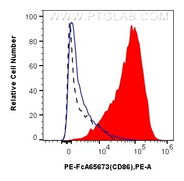1x10^6 LPS-treated mouse splenocytes were surface stained with 0.1 ug PE Anti-Mouse CD86 (GL1) Rabbit IgG RecAb (PE-FcA65673, Clone: GL1)(red) or 0.1 ug PE Rabbit IgG Isotype Control RecAb (PE-FcA98136, Clone: 240953C9) (blue). 1x10^6 untreated mouse splenocytes were surface stained with 0.1 ug PE Anti-Mouse CD86 (GL1) Rabbit IgG RecAb (PE-FcA65673, Clone: GL1) (black, dashed). Cells were not fixed. Flow cytometry (FC) experiment of mouse splenocytes using FcZero-rAb™ PE Anti-Mouse CD86 (GL1) Rabbit IgG Re (PE-FcA65673)