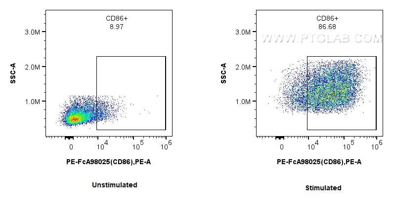 Flow cytometry (FC) experiment of mouse splenocytes using FcZero-rAb™ PE Anti-Mouse CD86 Rabbit Recombinant  (PE-FcA98025)