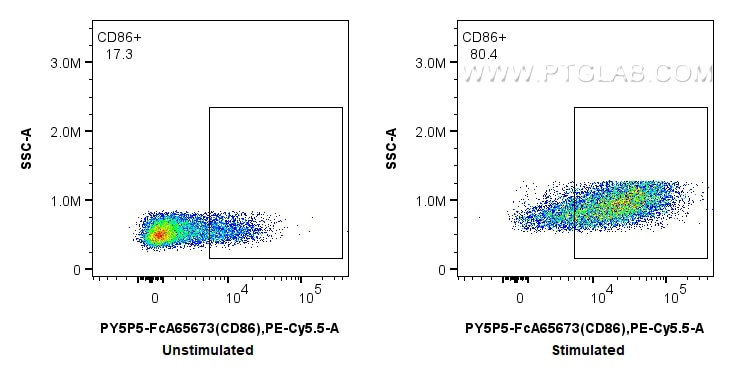 Flow cytometry (FC) experiment of mouse splenocytes using FcZero-rAb® PE-Cyanine5.5 Anti-Mouse CD86 (GL1) Ra (PY5P5-FcA65673)