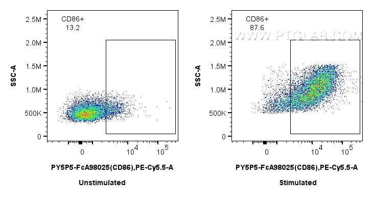 FC experiment of mouse splenocytes using PY5P5-FcA98025 Flow cytometry (FC) experiment of mouse splenocytes using FcZero-rAb® PE-Cyanine5.5 Anti-Mouse CD86 Rabbit R (PY5P5-FcA98025)