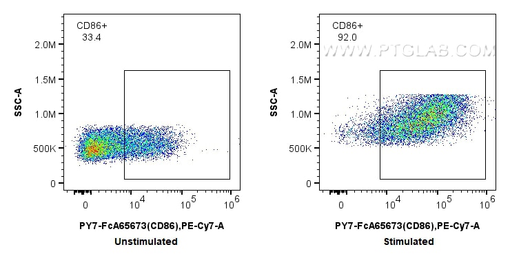 Flow cytometry (FC) experiment of mouse splenocytes using FcZero-rAb® PE-Cyanine7 Anti-Mouse CD86 (GL1) Rabb (PY7-FcA65673)