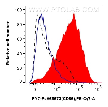 Flow cytometry (FC) experiment of mouse splenocytes using FcZero-rAb® PE-Cyanine7 Anti-Mouse CD86 (GL1) Rabb (PY7-FcA65673)