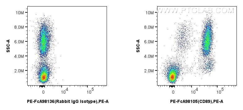 Flow cytometry (FC) experiment of human peripheral blood leukocyte using FcZero-rAb™ PE Anti-Human CD89 Rabbit Recombinant  (PE-FcA98105)
