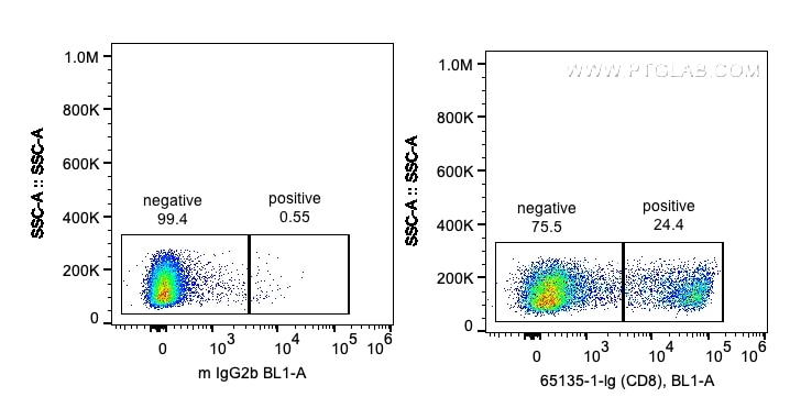 Flow cytometry (FC) experiment of human PBMCs using Anti-Human CD8a (OKT8) (65135-1-Ig)