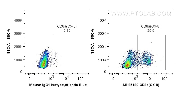 Flow cytometry (FC) experiment of wistar rat splenocytes using Atlantic Blue™ Anti-Rat CD8a (OX-8) (AB-65180)