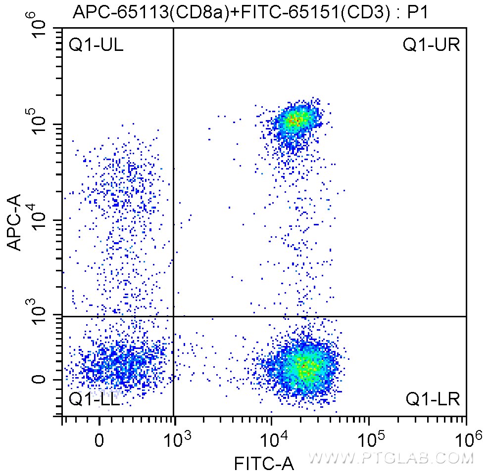 Flow cytometry (FC) experiment of human peripheral blood lymphocytes using APC Anti-Human CD8a (Hit8a) (APC-65113)