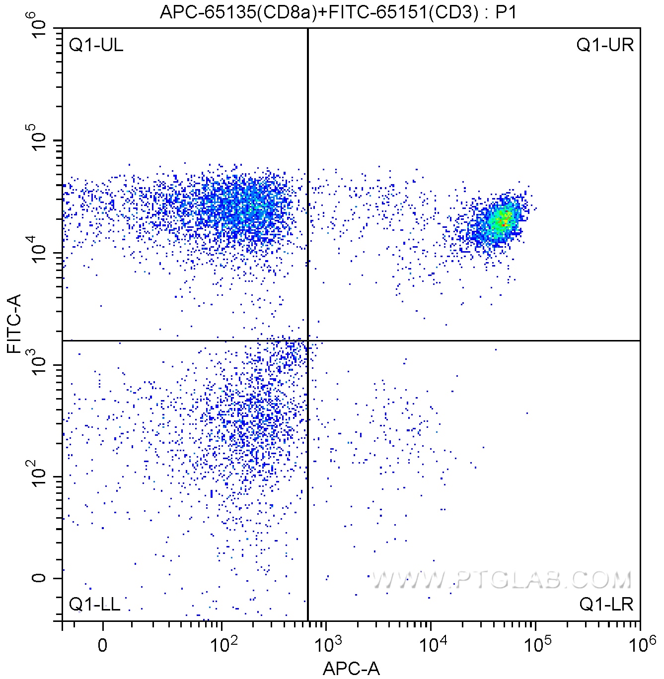 CD8a