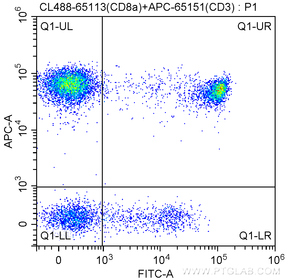 CD8a