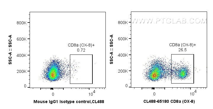 Flow cytometry (FC) experiment of rat splenocytes cells using CoraLite® Plus 488 Anti-Rat CD8a (OX-8) (CL488-65180)