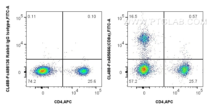 FC experiment of mouse splenocytes using CL488-FcA65666 Flow cytometry (FC) experiment of mouse splenocytes using FcZero-rAb® CoraLite® Plus 488 Anti-Mouse CD8a (53 (CL488-FcA65666)