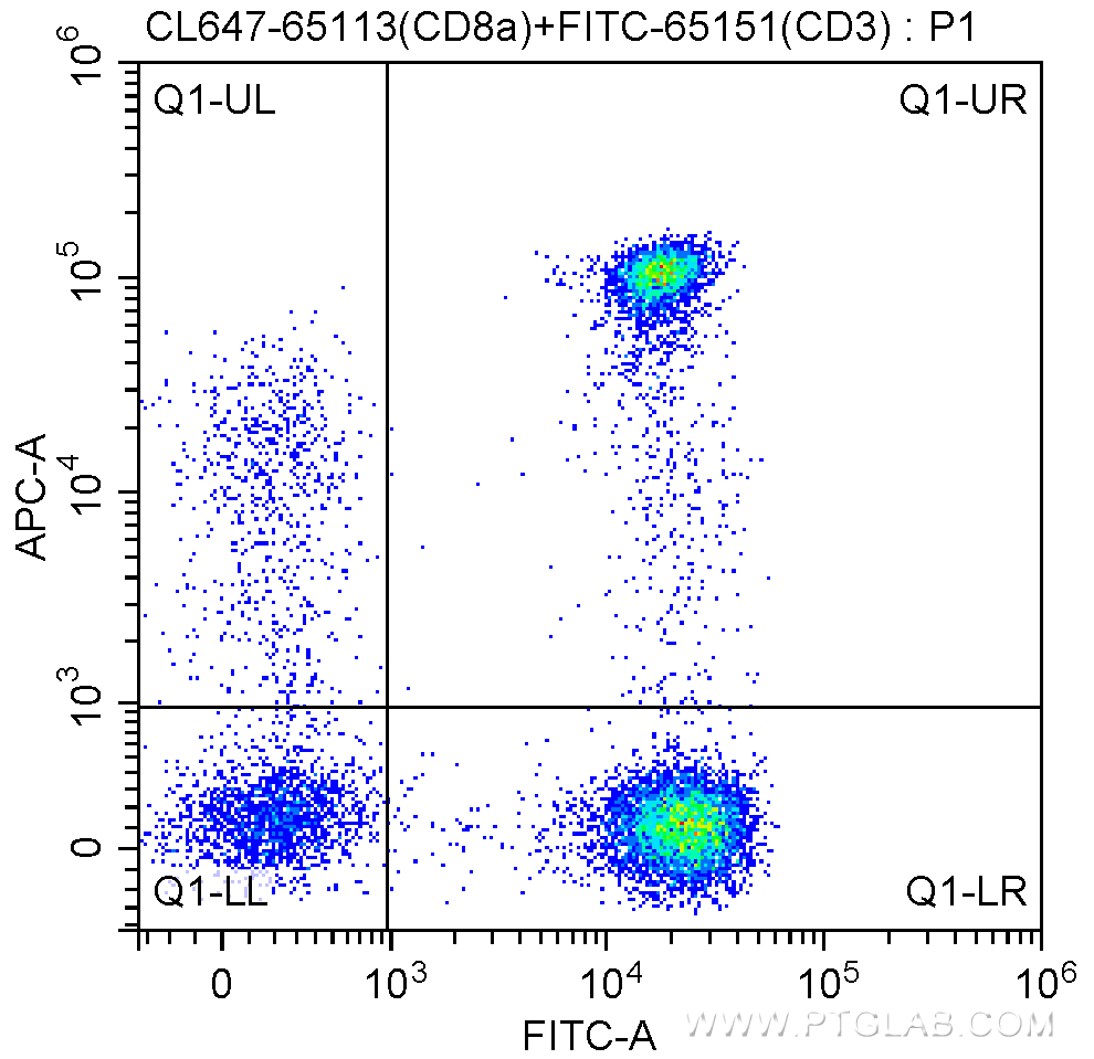 CD8a