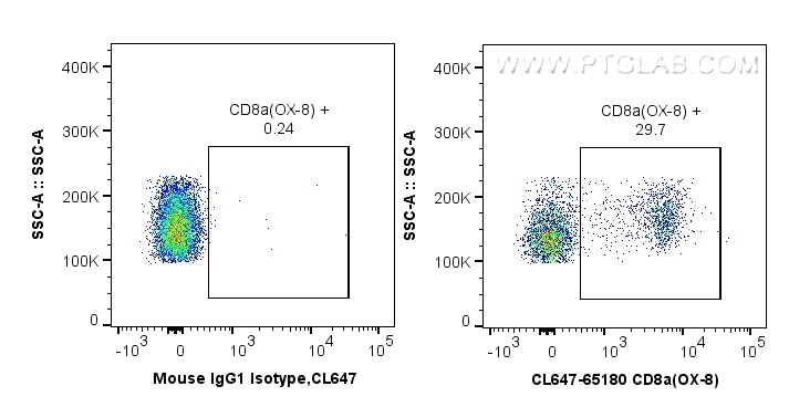 Flow cytometry (FC) experiment of wistar rat splenocytes using CoraLite® Plus 647 Anti-Rat CD8a (OX-8) (CL647-65180)