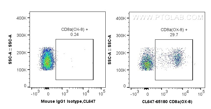 Flow cytometry (FC) experiment of wistar rat splenocytes using CoraLite® Plus 647 Anti-Rat CD8a (OX-8) (CL647-65180)