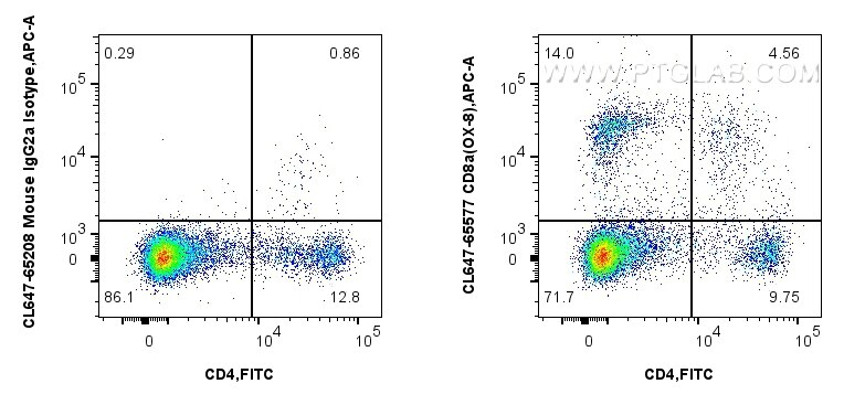 1x10^6 rat splenocytes were surface stained with FITC Plus Anti-Rat CD4, and 0.25 ug CoraLite® Plus 647 Anti-Rat CD8a (OX-8) Mouse IgG2a RecAb (CL647-65577, Clone: OX-8) or CoraLite® Plus 647 Mouse IgG2a Isotype Control (C1.18.4) (CL647-65208, Clone: C1.18.4). Cells were not fixed. Flow cytometry (FC) experiment of rat splenocytes cells using CoraLite® Plus 647 Anti-Rat CD8a (OX-8) Mouse IgG2 (CL647-65577)
