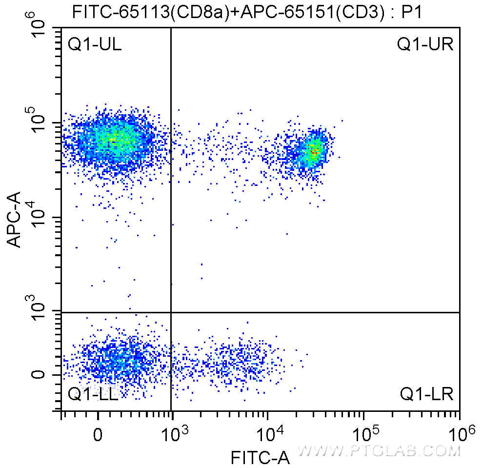 Flow cytometry (FC) experiment of human peripheral blood lymphocytes using FITC Anti-Human CD8a (Hit8a) (FITC-65113)