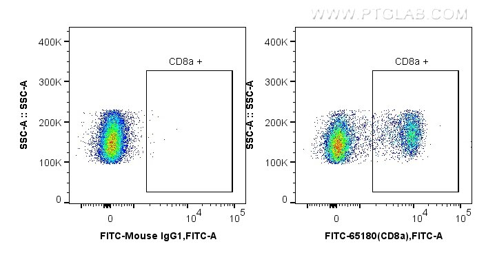 Flow cytometry (FC) experiment of wistar rat splenocytes using FITC Plus Anti-Rat CD8a (OX-8) (FITC-65180)